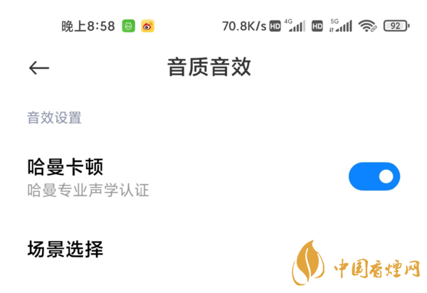 小米11音質(zhì)測(cè)評(píng) 小米11哈曼卡頓怎么開(kāi)