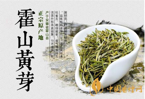 霍山黃芽屬于什么茶-霍山黃芽茶葉價格2021