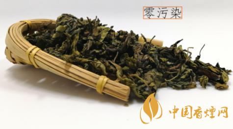 長白山丁香茶怎么樣 長白山丁香茶功效與作用大全