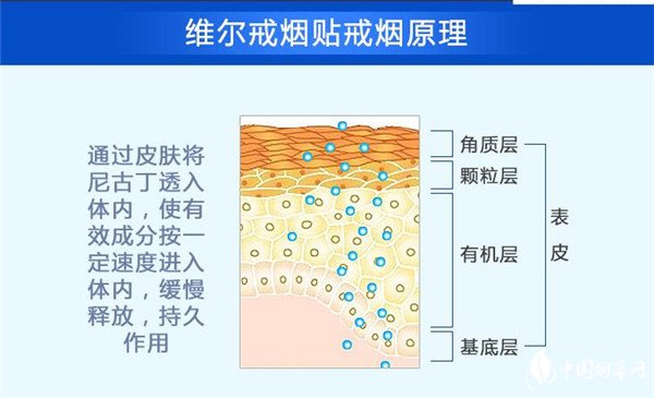 維爾戒煙貼怎么樣 天津維爾戒煙貼戒煙成效高達(dá)98%