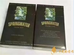 黑色春泉煙多少錢一包 德國Spring water(春泉)香煙價格13元/包