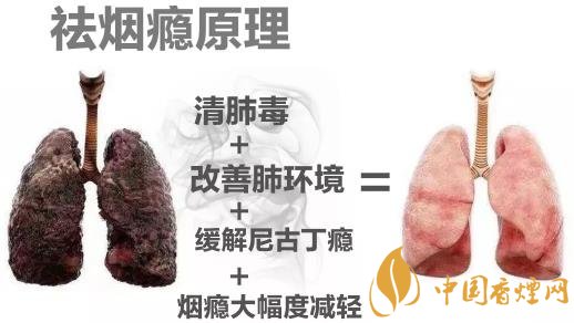 戒煙后關(guān)鍵在于清肺排毒 才能快速清肺里的煙毒！