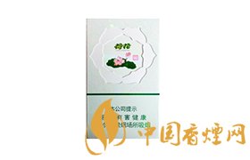 2020荷花牌香煙價格一覽表